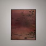 DSCF3814