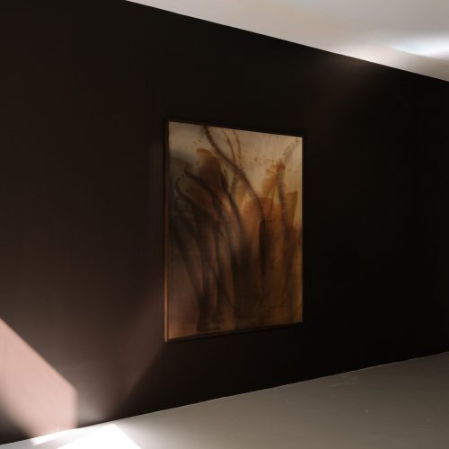 Plantes sauvages, 2026 
150 x 180 cm 
Acrylic and ink on canvas 
Price upon request