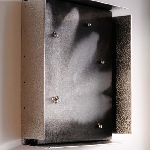 The Flower with the Pearl_1