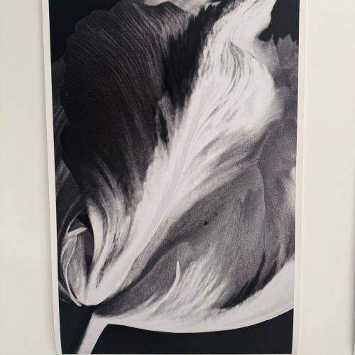 Un suspiro de Aire II 
100 × 120 cm 
Photography Photographic Material 
Price upon request