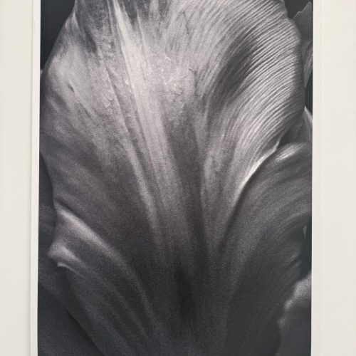 Un suspiro de Aire I 
100 × 120 cm 
Photography Photographic Material 
Price upon request